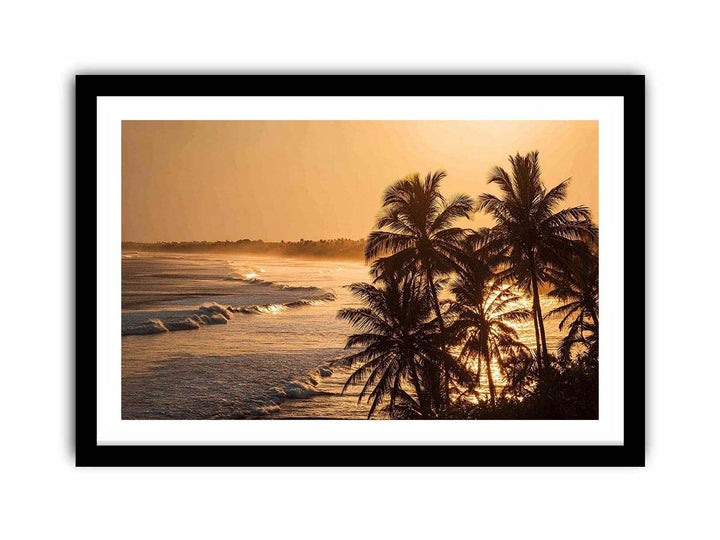 Blai Golden  Sunrise
