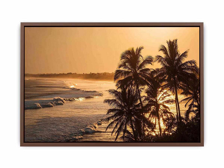 Blai Golden  Sunrise