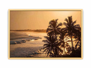 Blai Golden  Sunrise