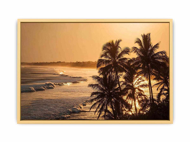 Blai Golden  Sunrise