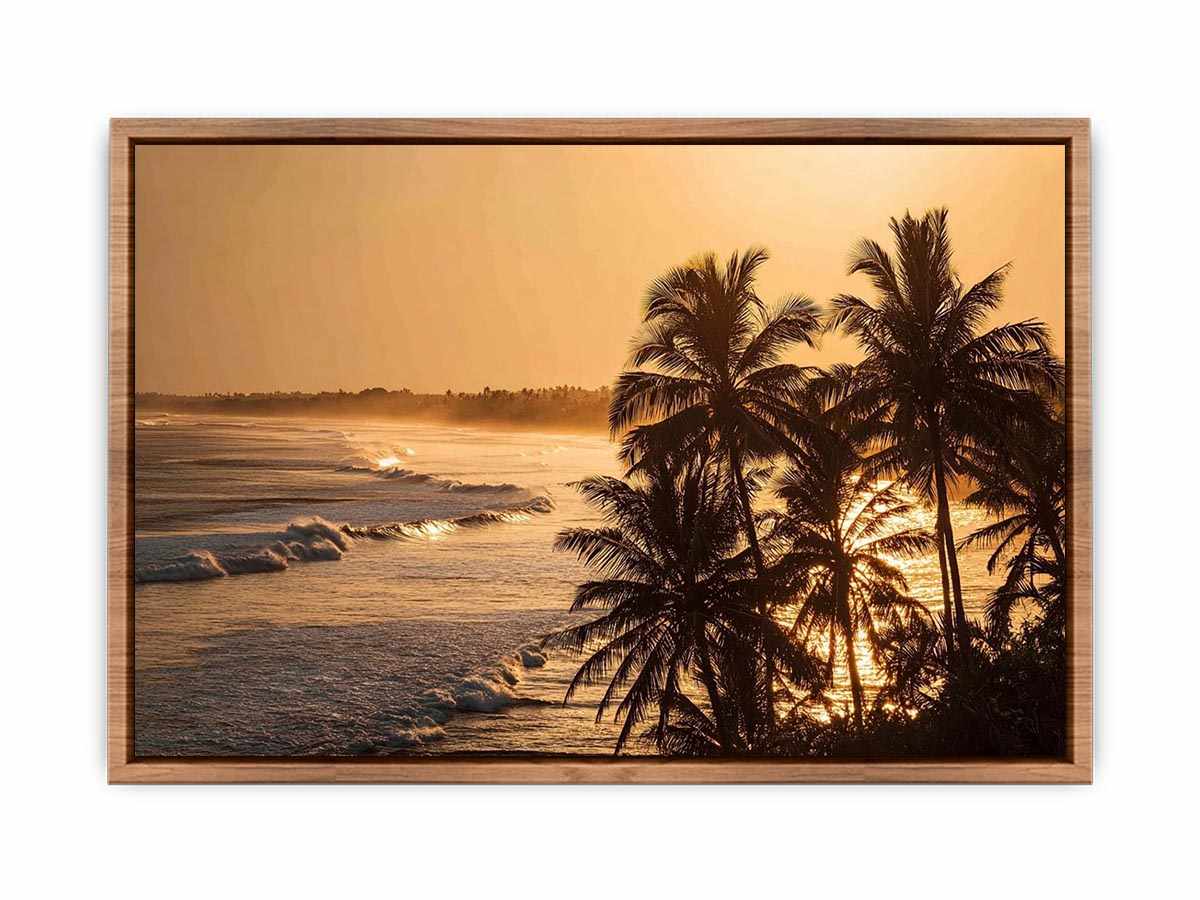 Blai Golden  Sunrise