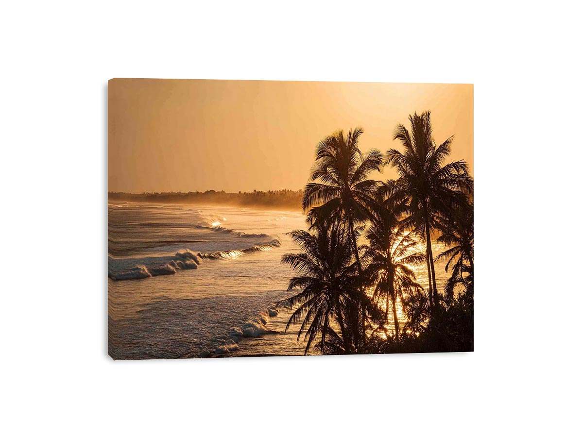 Blai Golden  Sunrise
