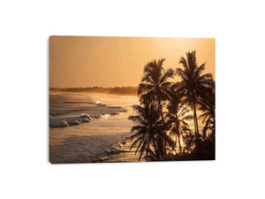 Blai Golden  Sunrise