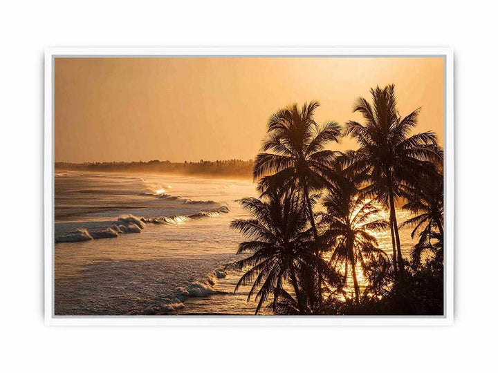 Blai Golden  Sunrise