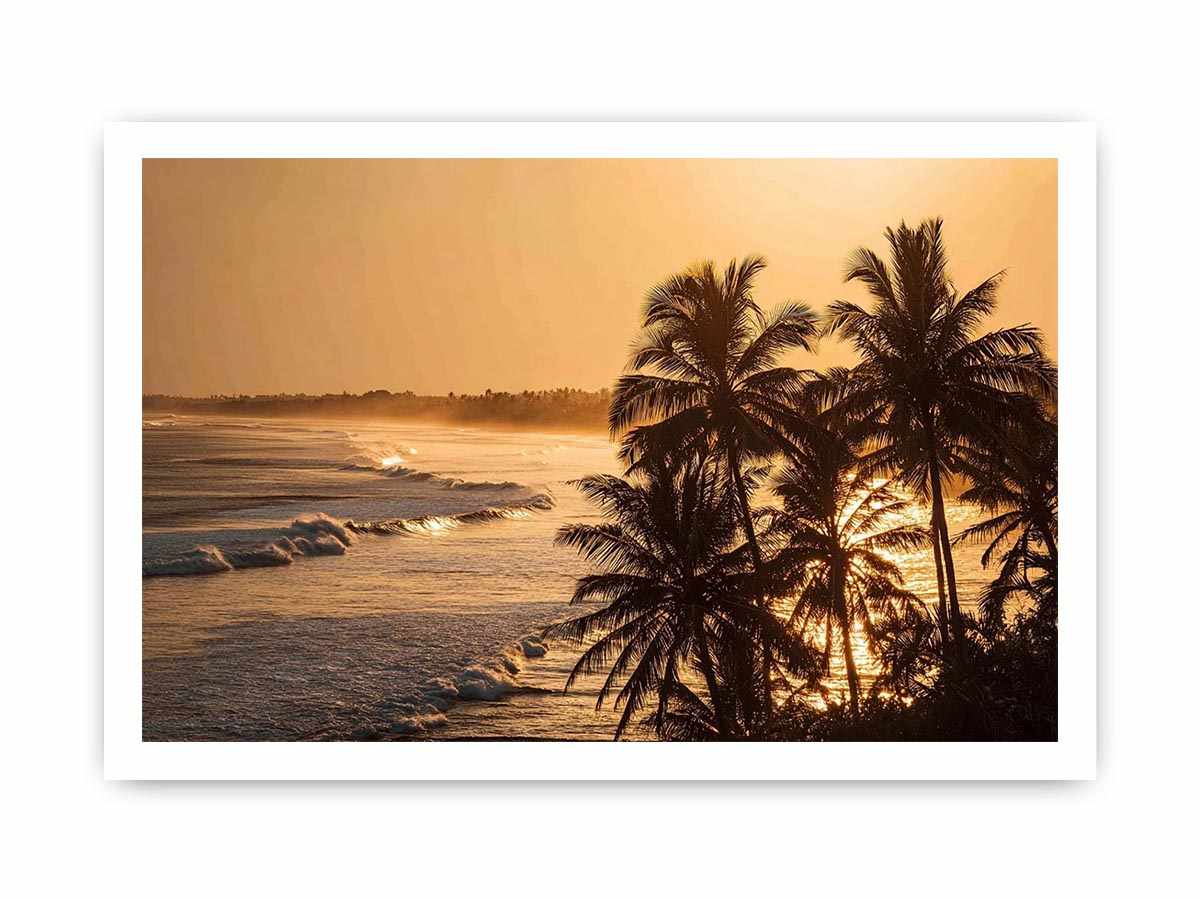 Blai Golden  Sunrise
