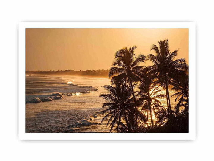 Blai Golden  Sunrise