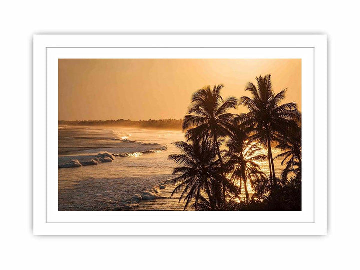 Blai Golden  Sunrise