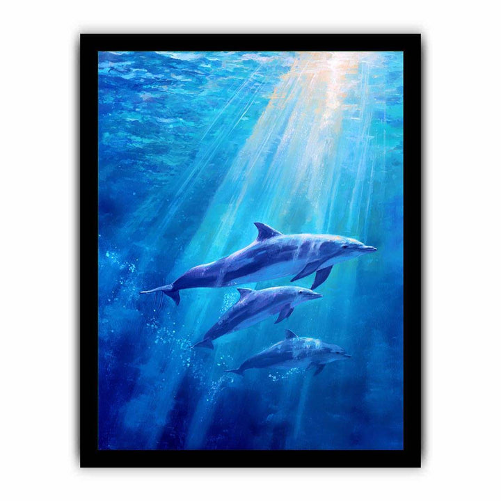 Dolphin Underwater