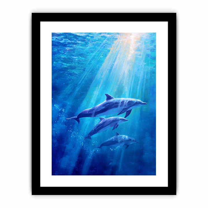Dolphin Underwater