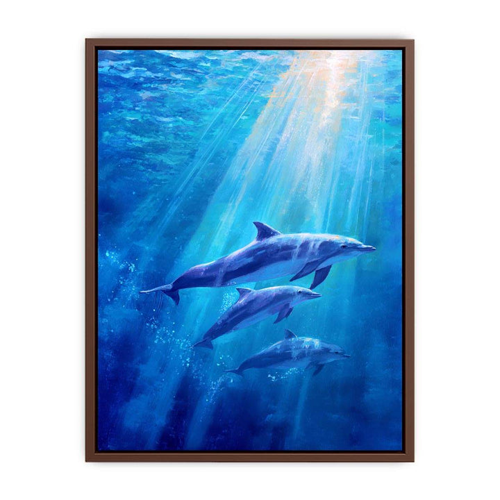 Dolphin Underwater