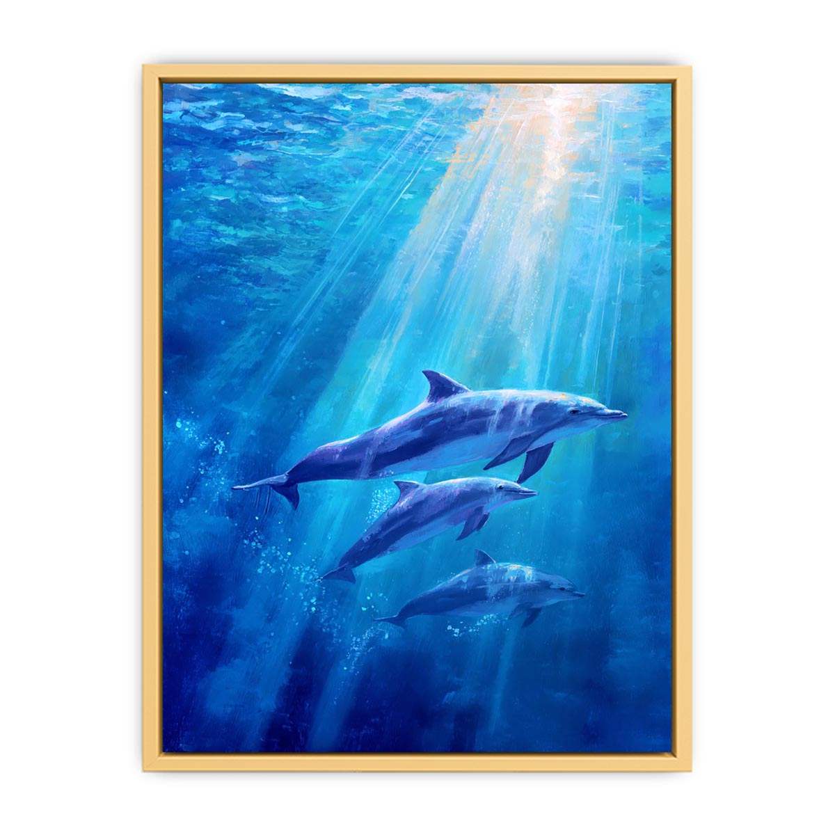 Dolphin Underwater