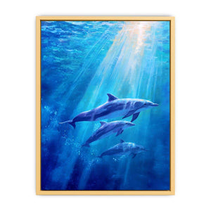 Dolphin Underwater