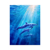 Dolphin Underwater artwork preview