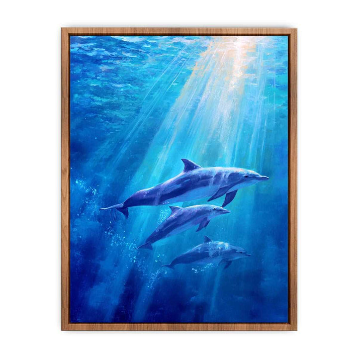 Dolphin Underwater