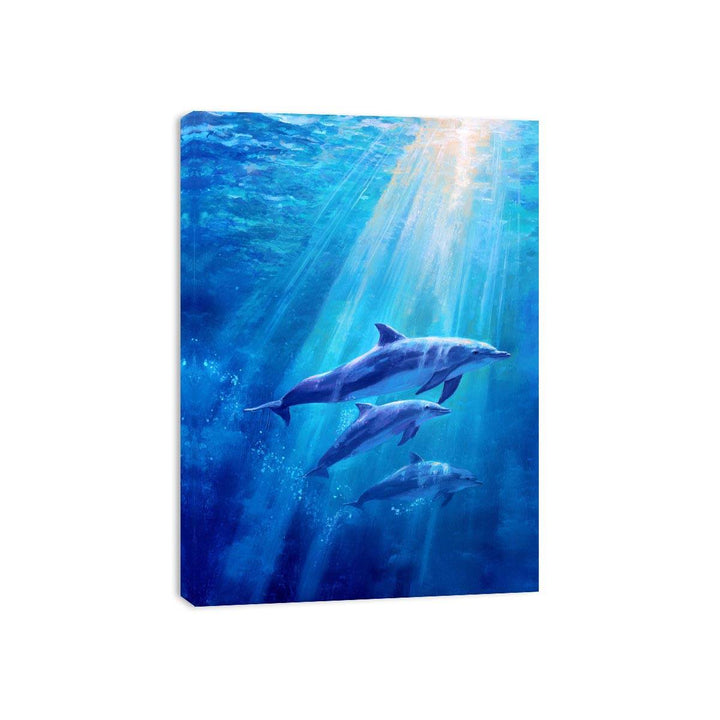 Dolphin Underwater