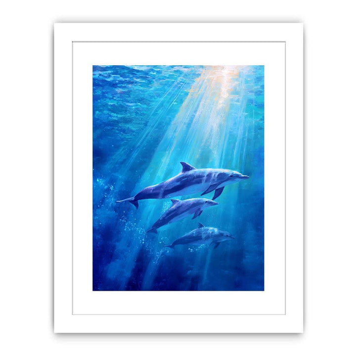 Dolphin Underwater