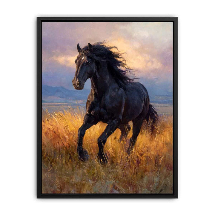Black  horse