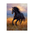 Black  horse