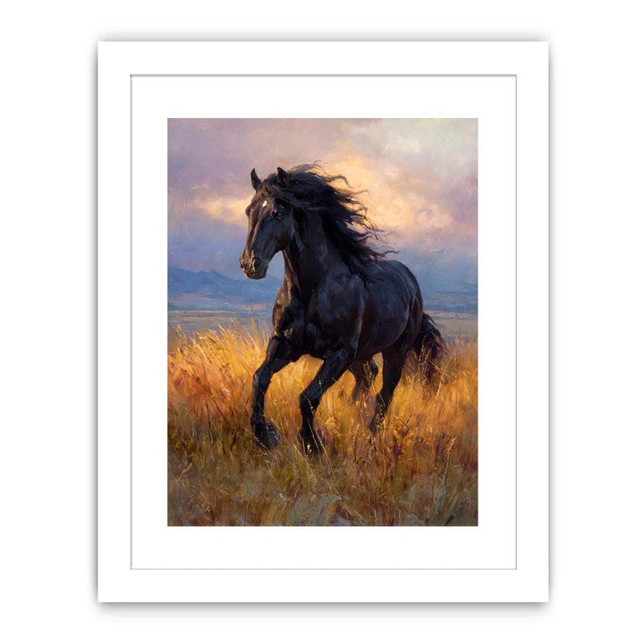 Black  horse