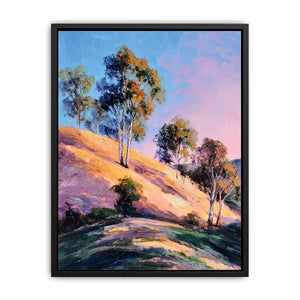 Eucalyptus Trees