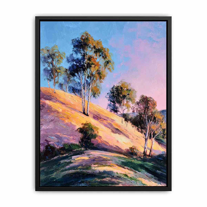 Eucalyptus Trees