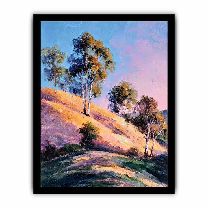 Eucalyptus Trees