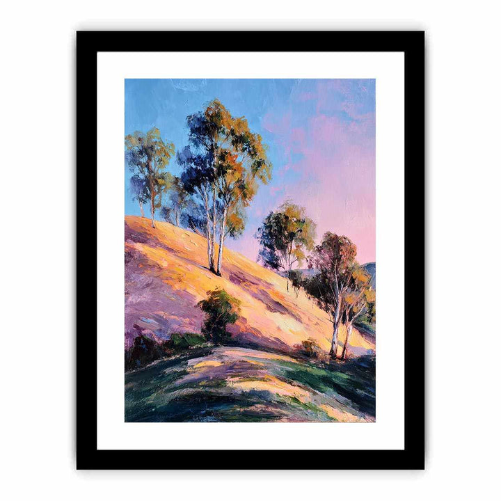 Eucalyptus Trees