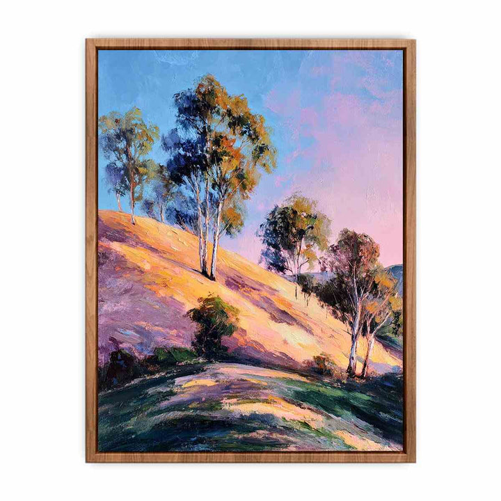 Eucalyptus Trees