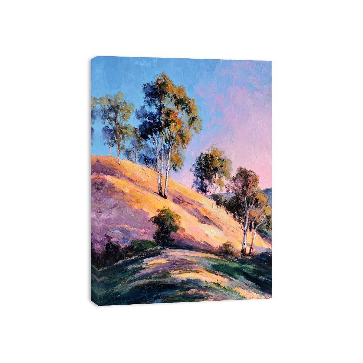 Eucalyptus Trees