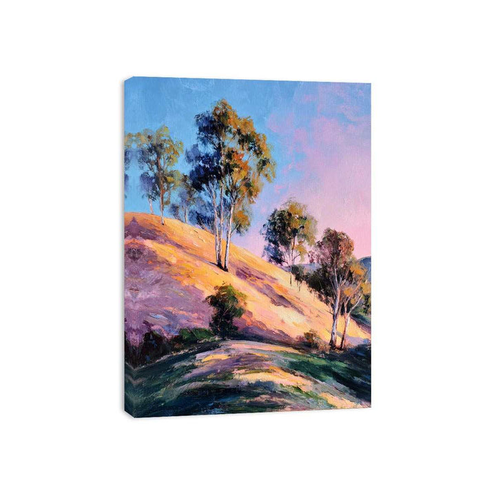 Eucalyptus Trees