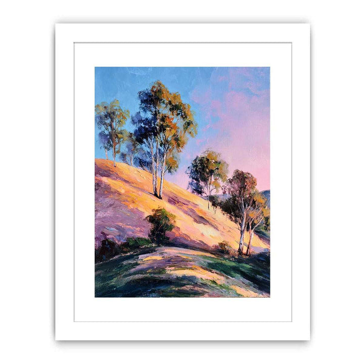 Eucalyptus Trees