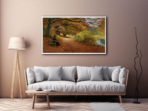 A Wooded Path In Autumn