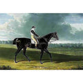 Filho da Puta', the Winner of the Great St. Leger at Doncaster