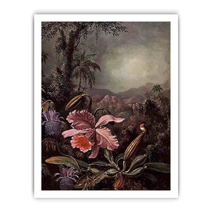 Orchids Passion Flowers And Hummingbird