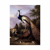 Peacock, Hen and Cock Pheasant in a Landscape artwork preview