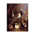 Peacock, Peahen and Poultry in a Landscape