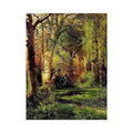 Forest Scene