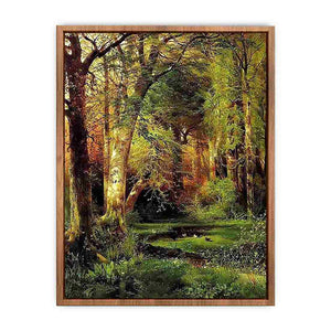 Forest Scene