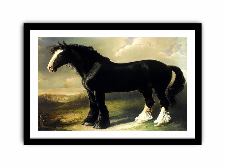 Old English Black Horse