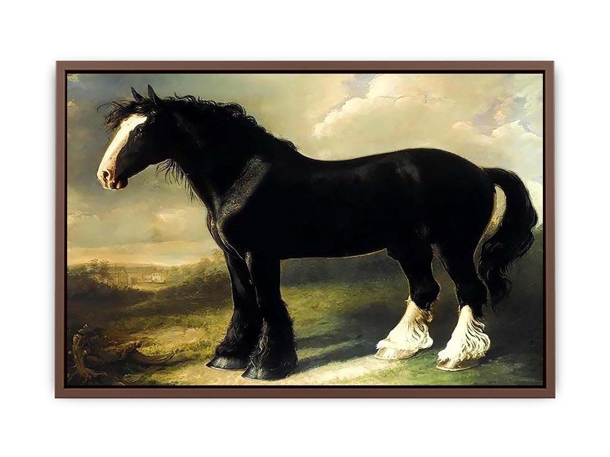 Old English Black Horse