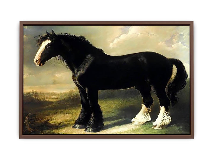 Old English Black Horse