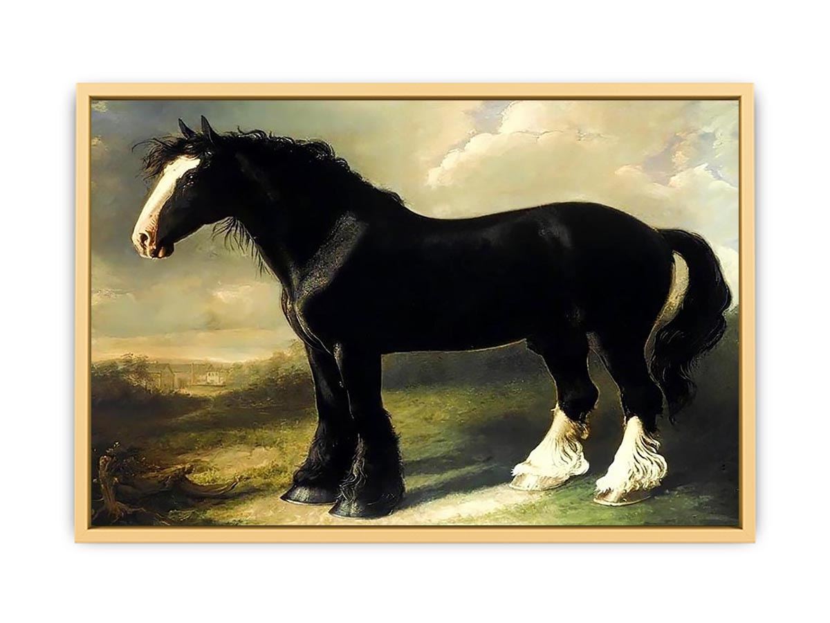 Old English Black Horse