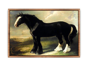 Old English Black Horse