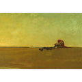 Marooned by Howard Pyle