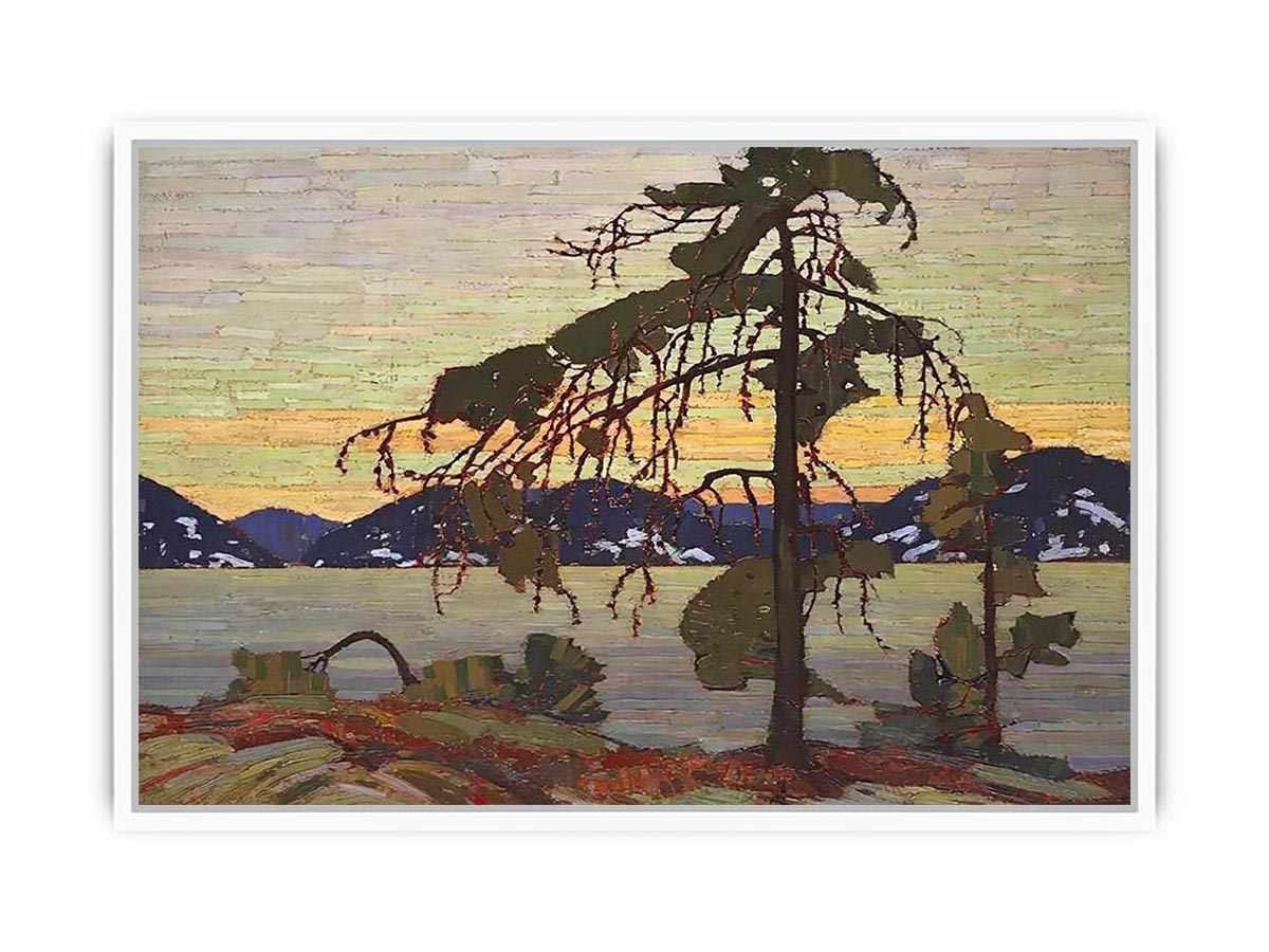 The Jack Pine