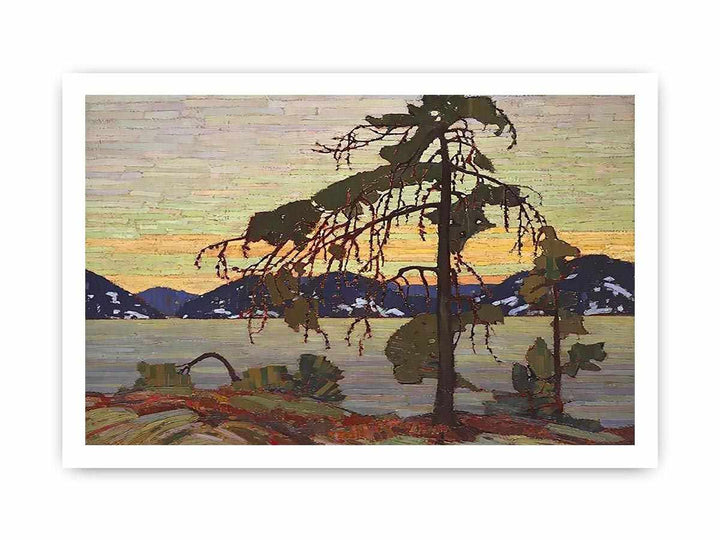 The Jack Pine