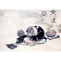 The Tea Kettle Raccoon
