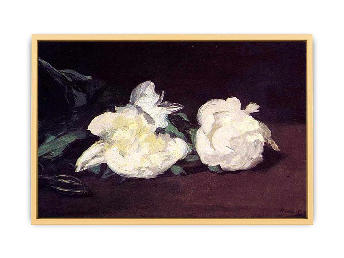 Branch of White Peonies and Secateurs