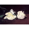 Branch of White Peonies and Secateurs