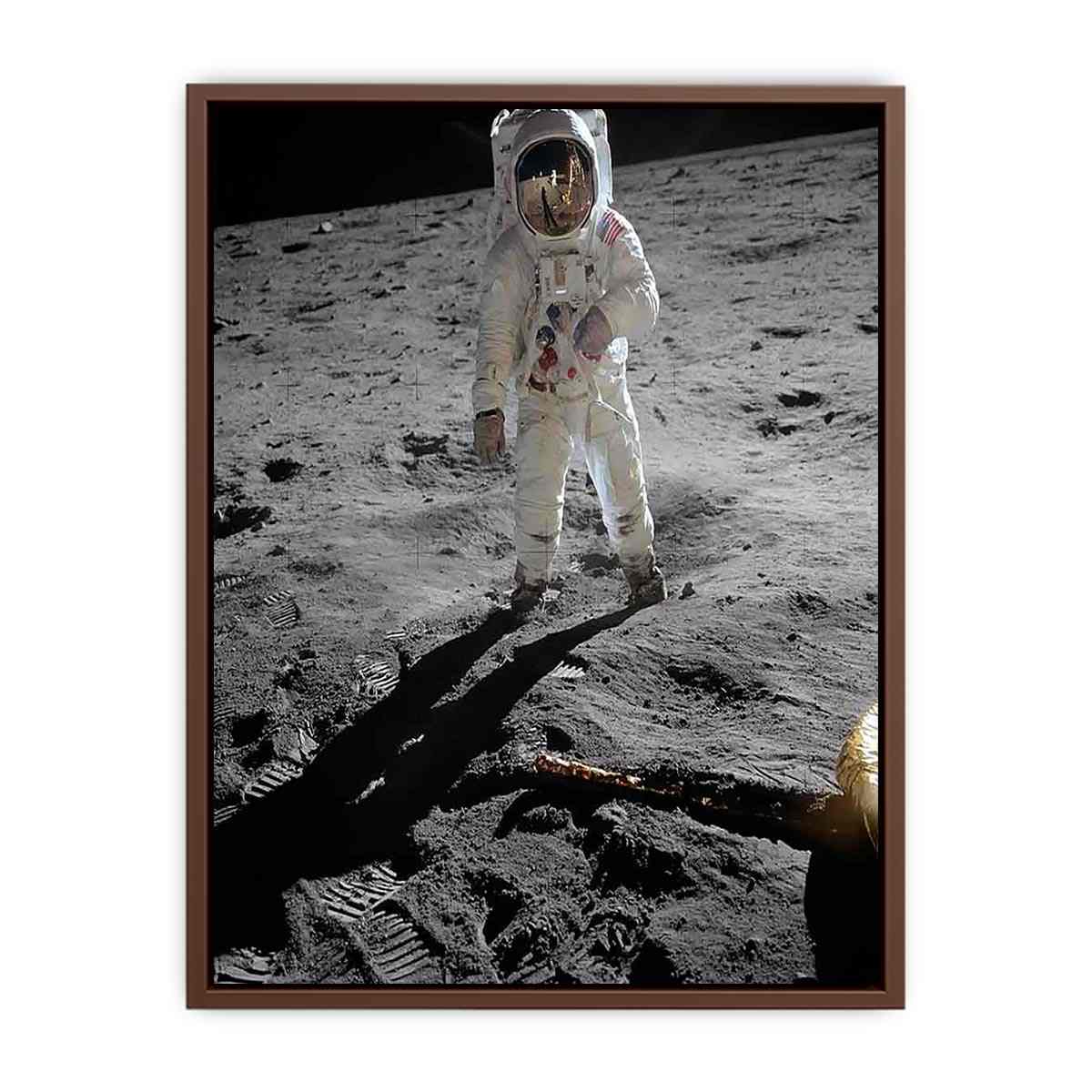 Astronaut Walk on Moon